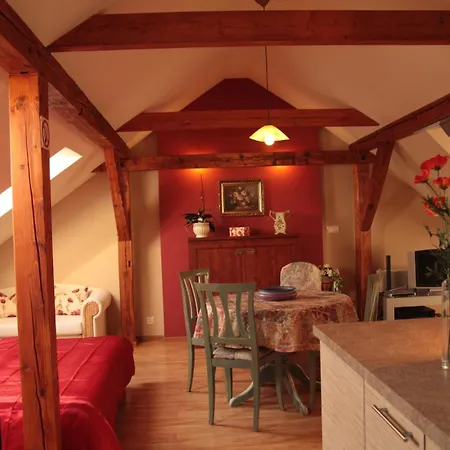 Tina * Dzierżoniów